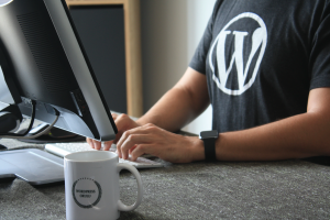 custom wordpress design, wordpress websites